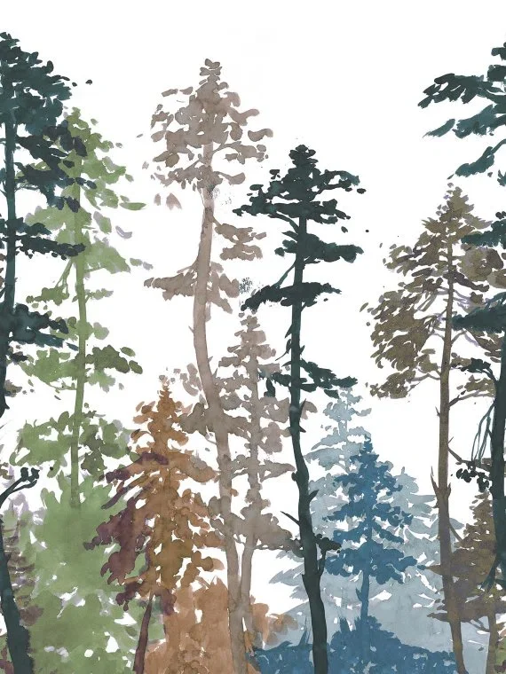 La Sapiniere FP904001 - Automne