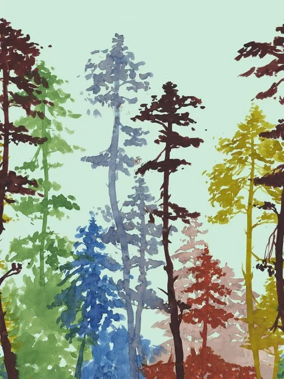 La Sapiniere FP904002 - Ete