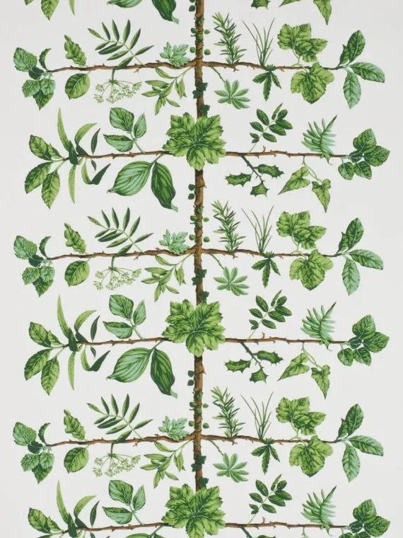 Wallpaper Espalier FP169001 - Prairie