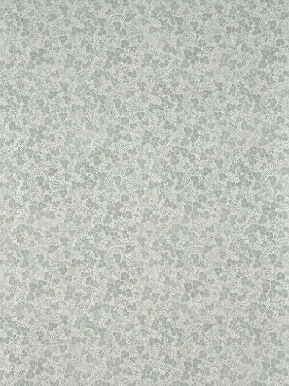 Les fleurs de cerisiers FP051002 - Nuage