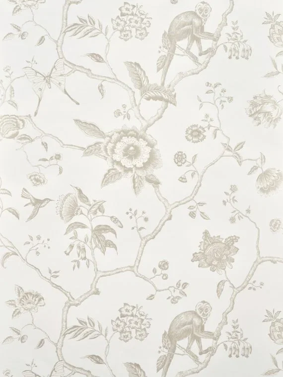 Jardin de paradis FP327005 - Coquille