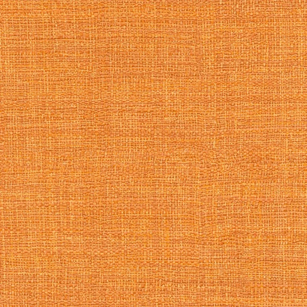 Madagascar - Sous le vent des manguiers