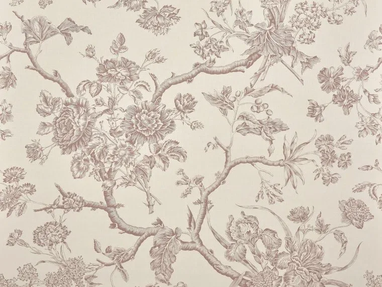 Chantonnay BP370002 - Glycine