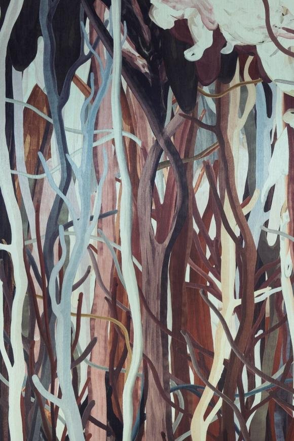 Coffee Root – 97742