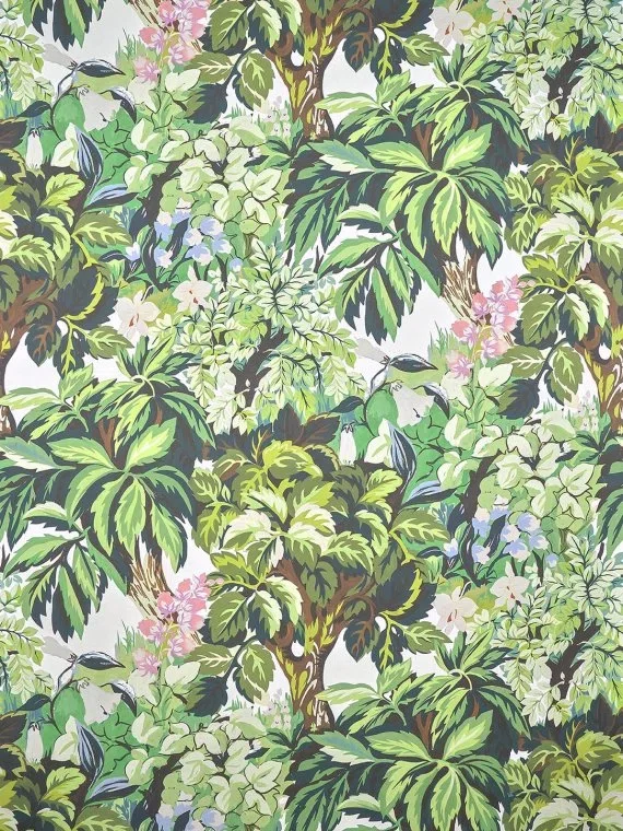 Khao lak FP095001 - Lagon