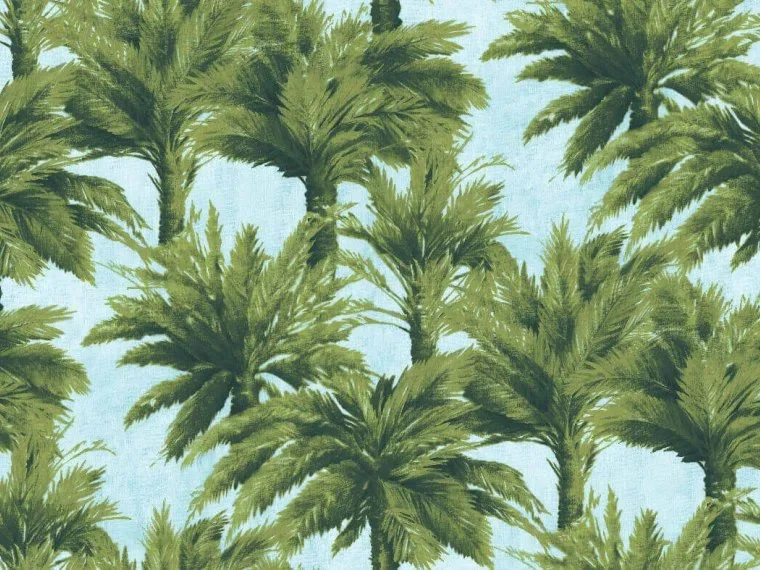 Mauritius FP320001 - Ciel