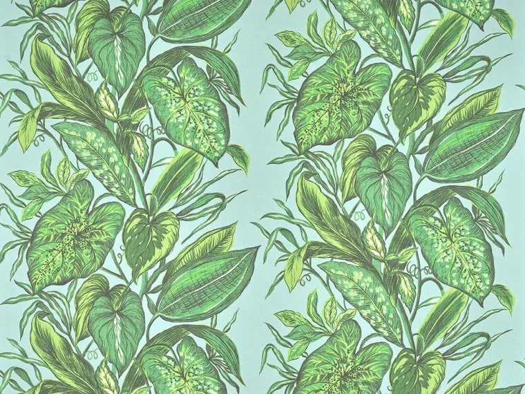 Nassau FP102003 - Lagon