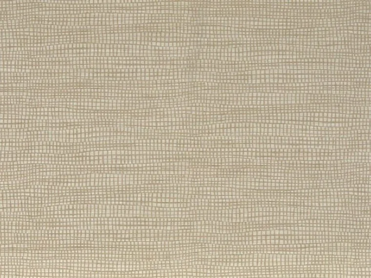 Niamh FP032003 - Sable