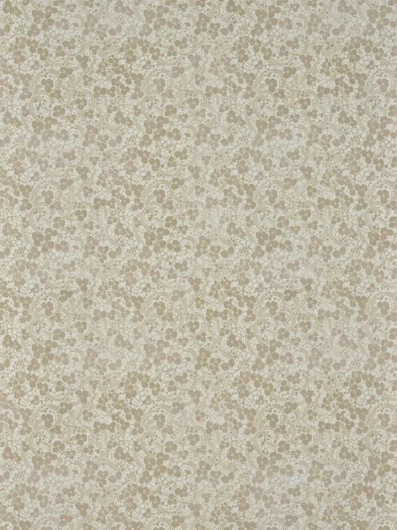 Les fleurs de cerisiers FP051001 - Brume