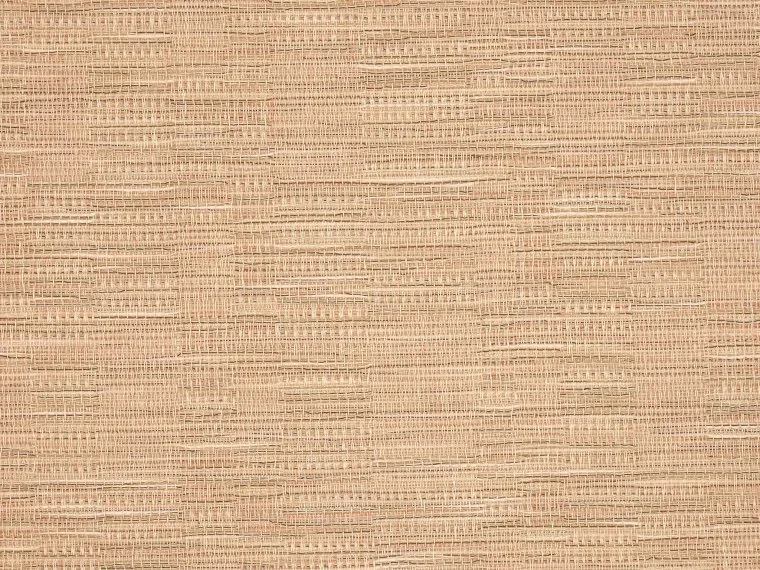 Sofia FP863004 - Saumon