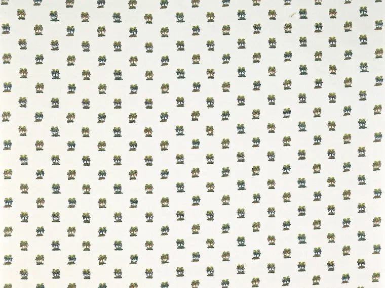 Les palmiers de comoglio BP359001 - Palmeraie