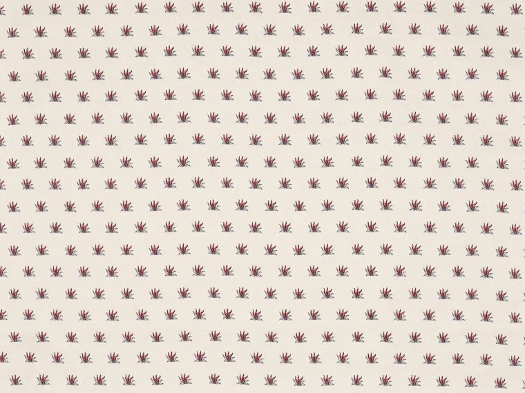 Coulonges Semis BP352001 - Hortensia