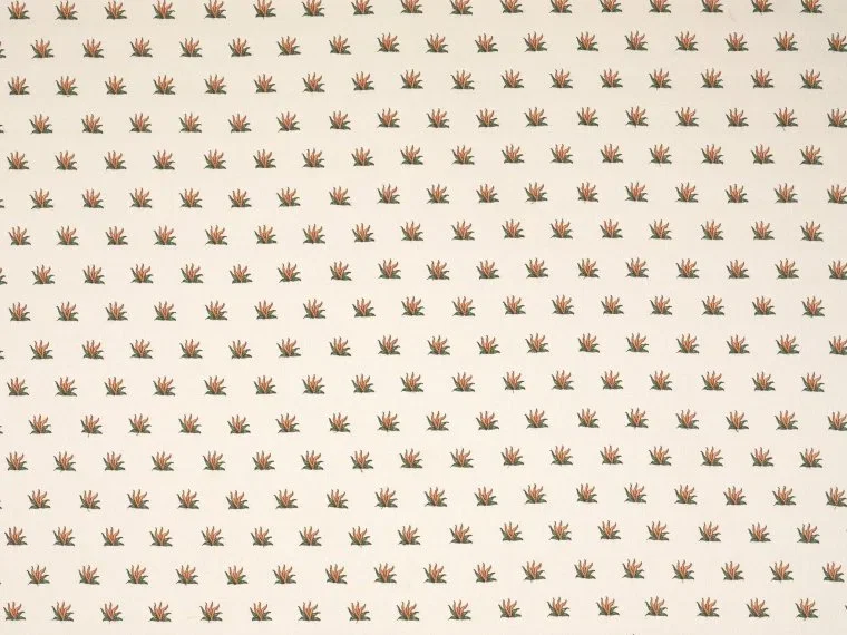 Coulonges semis BP352002 - Mandarine