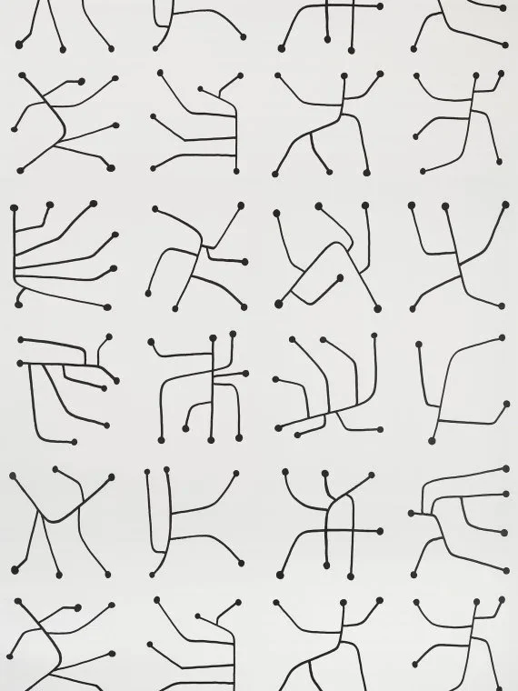 Vrillette FP782002 - Charbon