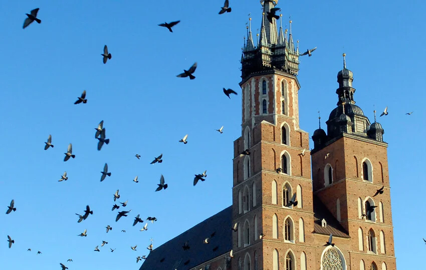 OPENING SALVO: Wreck/Reckoning