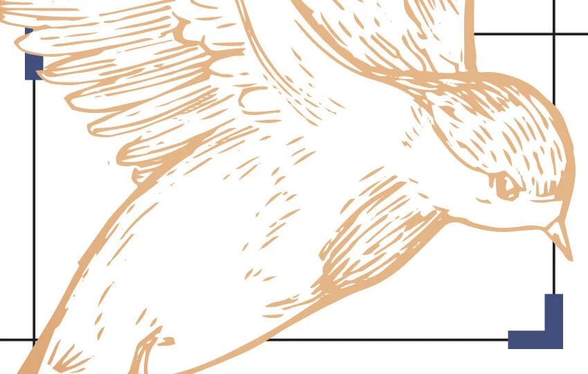 POETRY // Framing the Disaster: Thomas Hardy &amp; Stephen Edgar