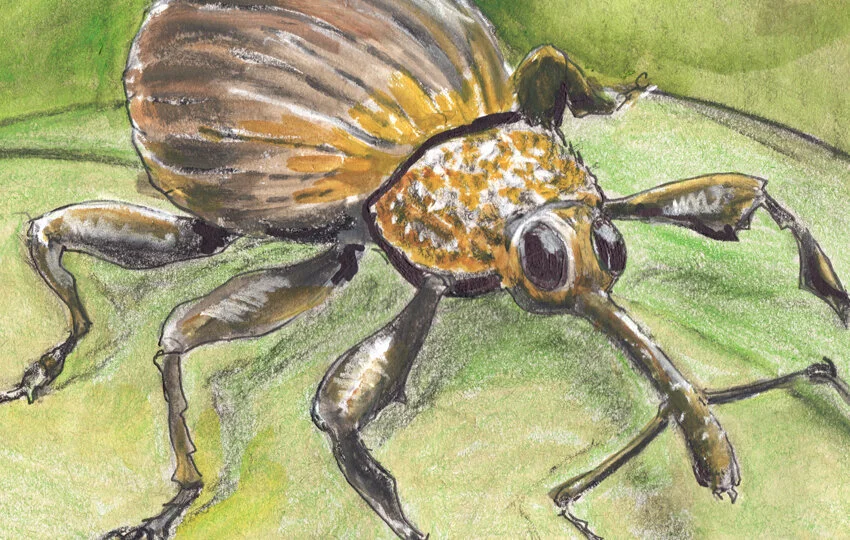 FICTION // Gus and Lizzy: Chapter One, Part One