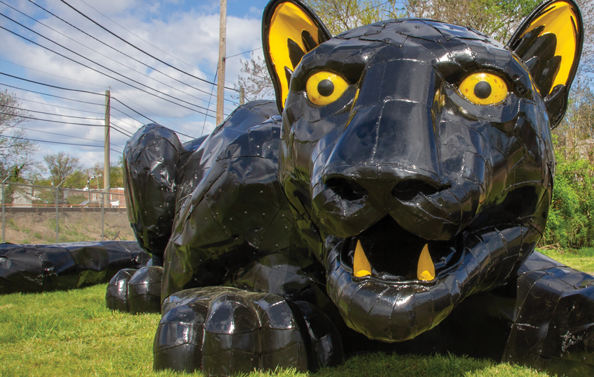 RECOMMENDATION // Invincible Camden