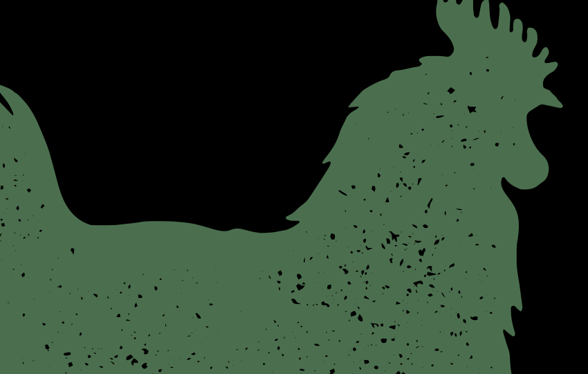 ESSAY // Intimate Slaughter