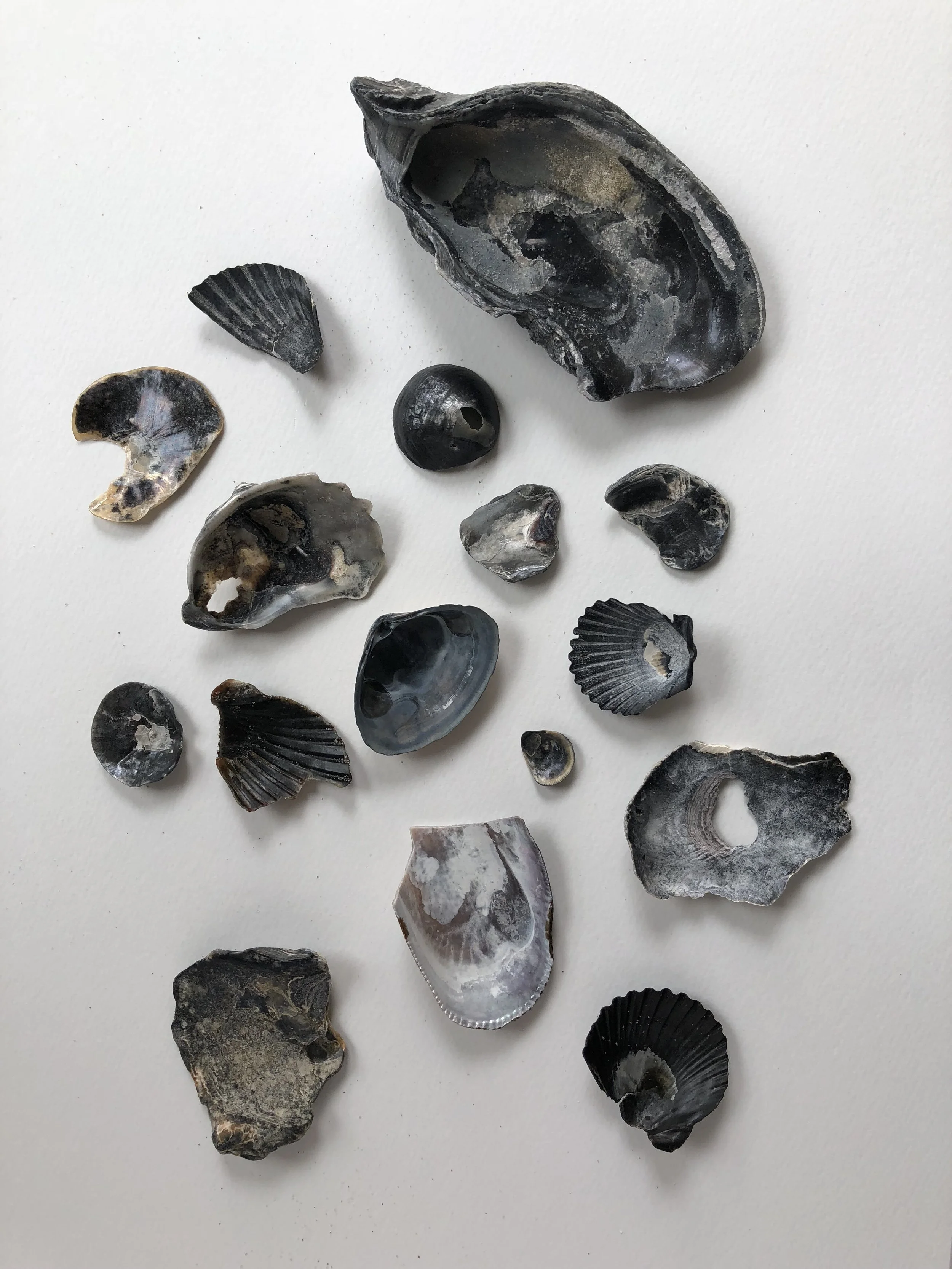 CULTURE FILES // A Brief History of Beach Lingo