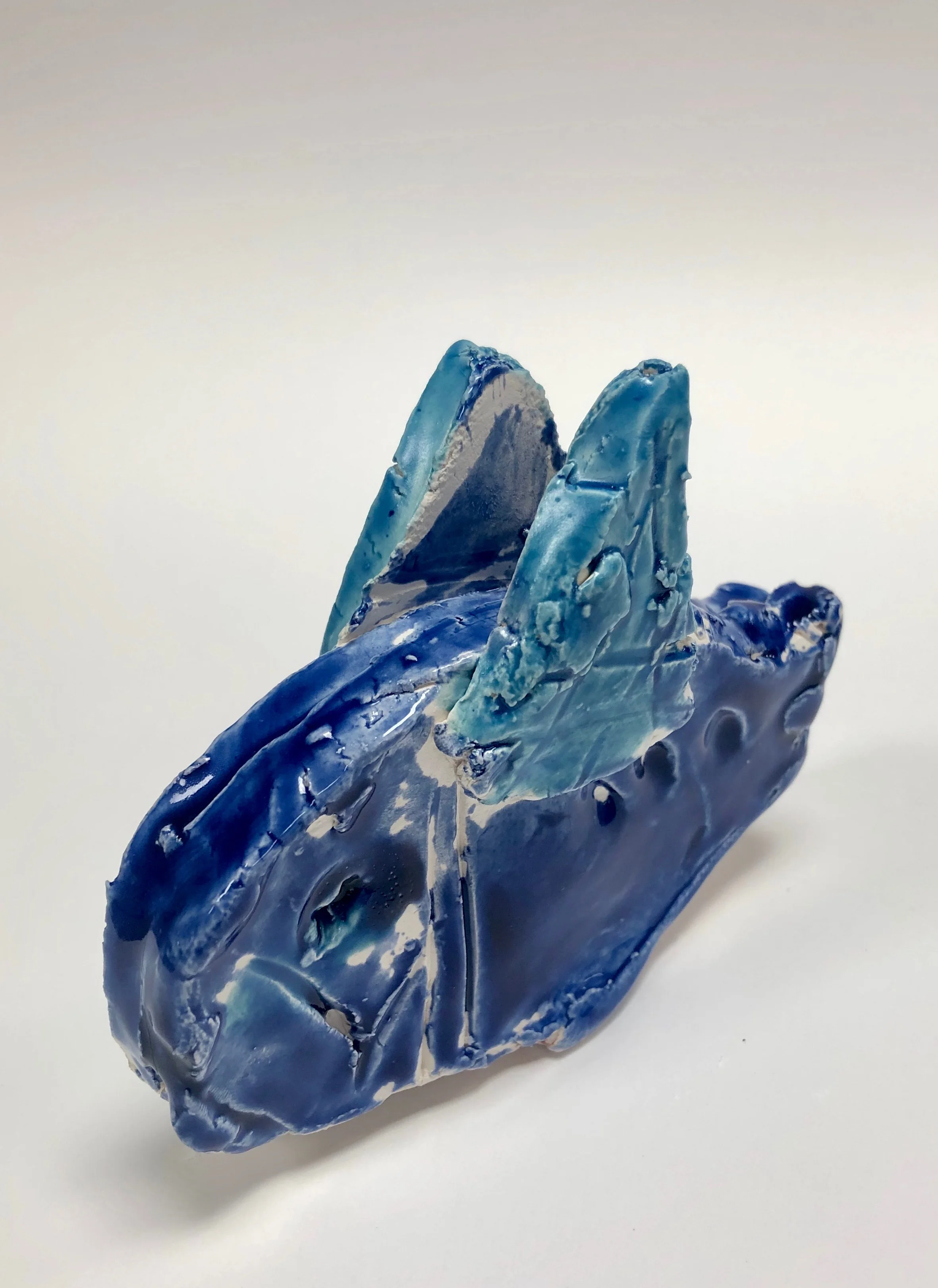 IMG_1352.jpg