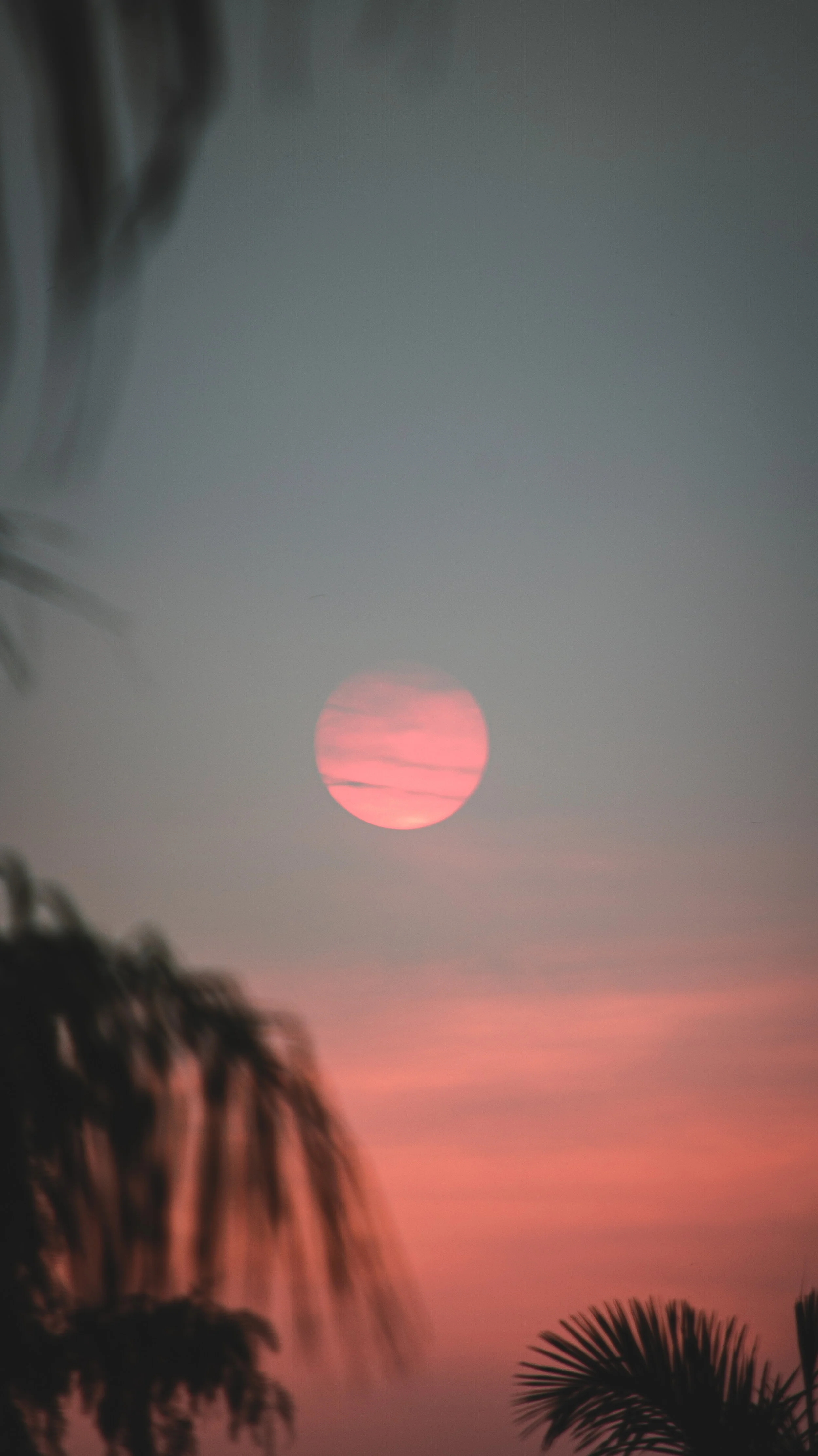 DSC_0064.jpg