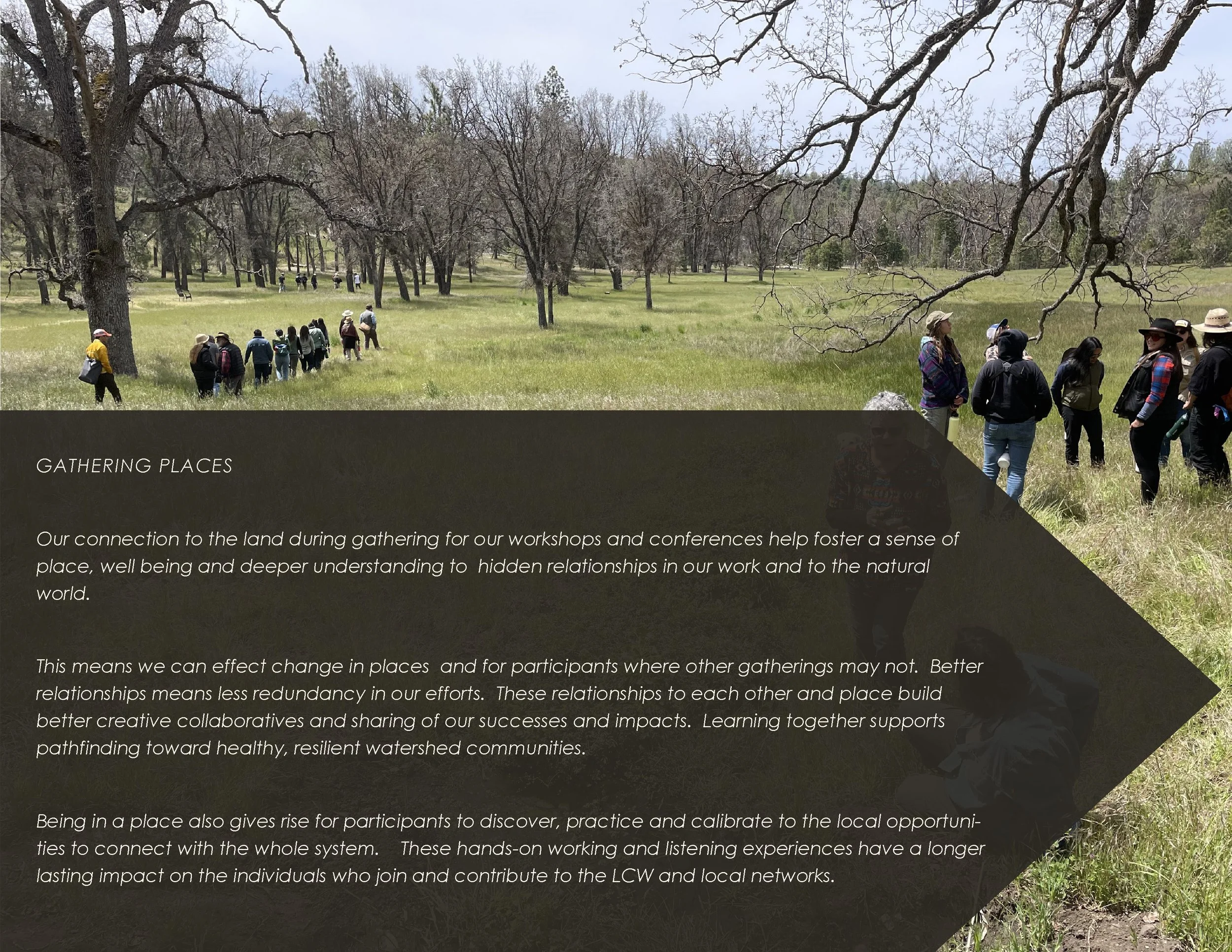 LCW_Impact Report2023_Final_Page_12.jpg