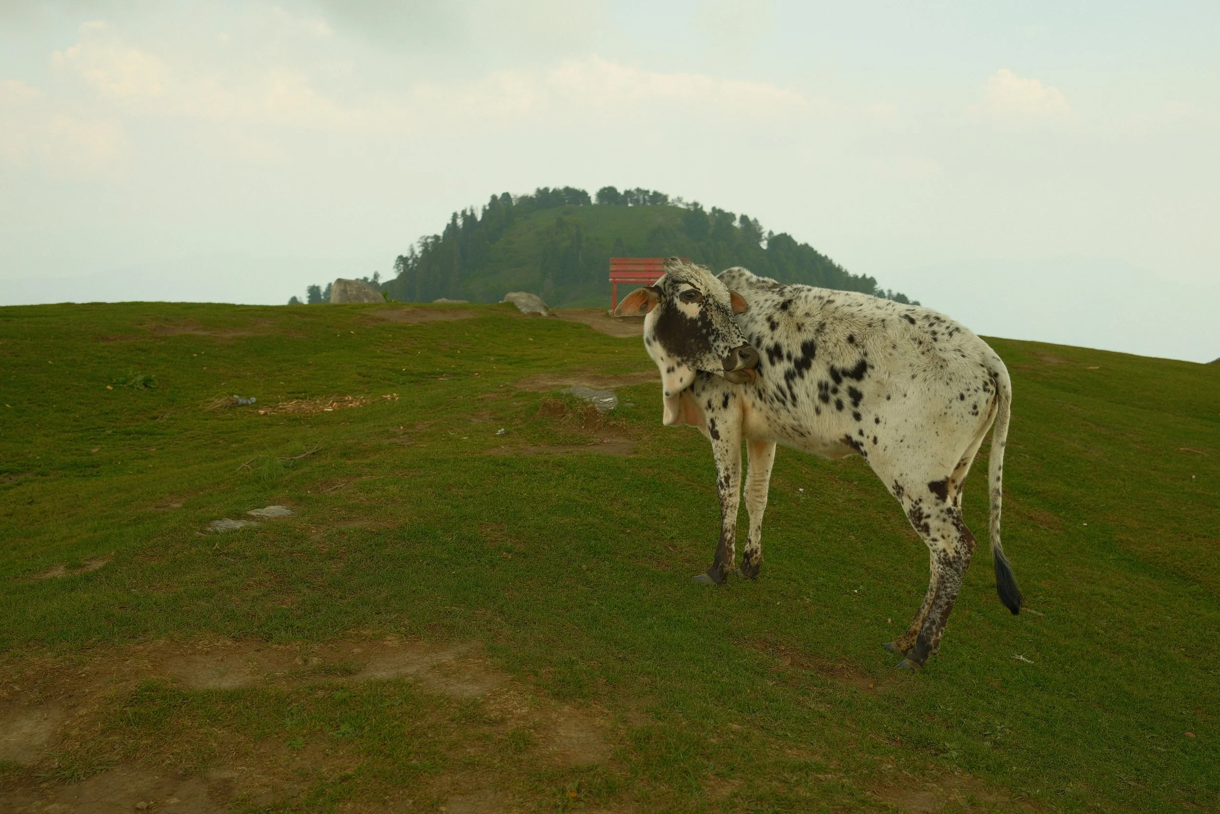 DSCF3148.JPG