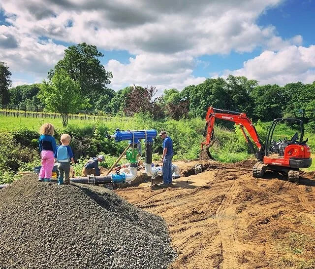 All hands on deck for the new pump install at our umpqua vineyard 💦 
#farmlife #farmkids #vineyard #vineyardviews #oregonwine #oregonpinot