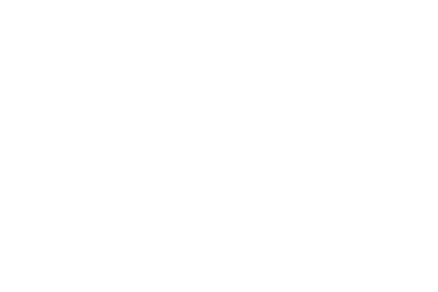 Chatham Park Development