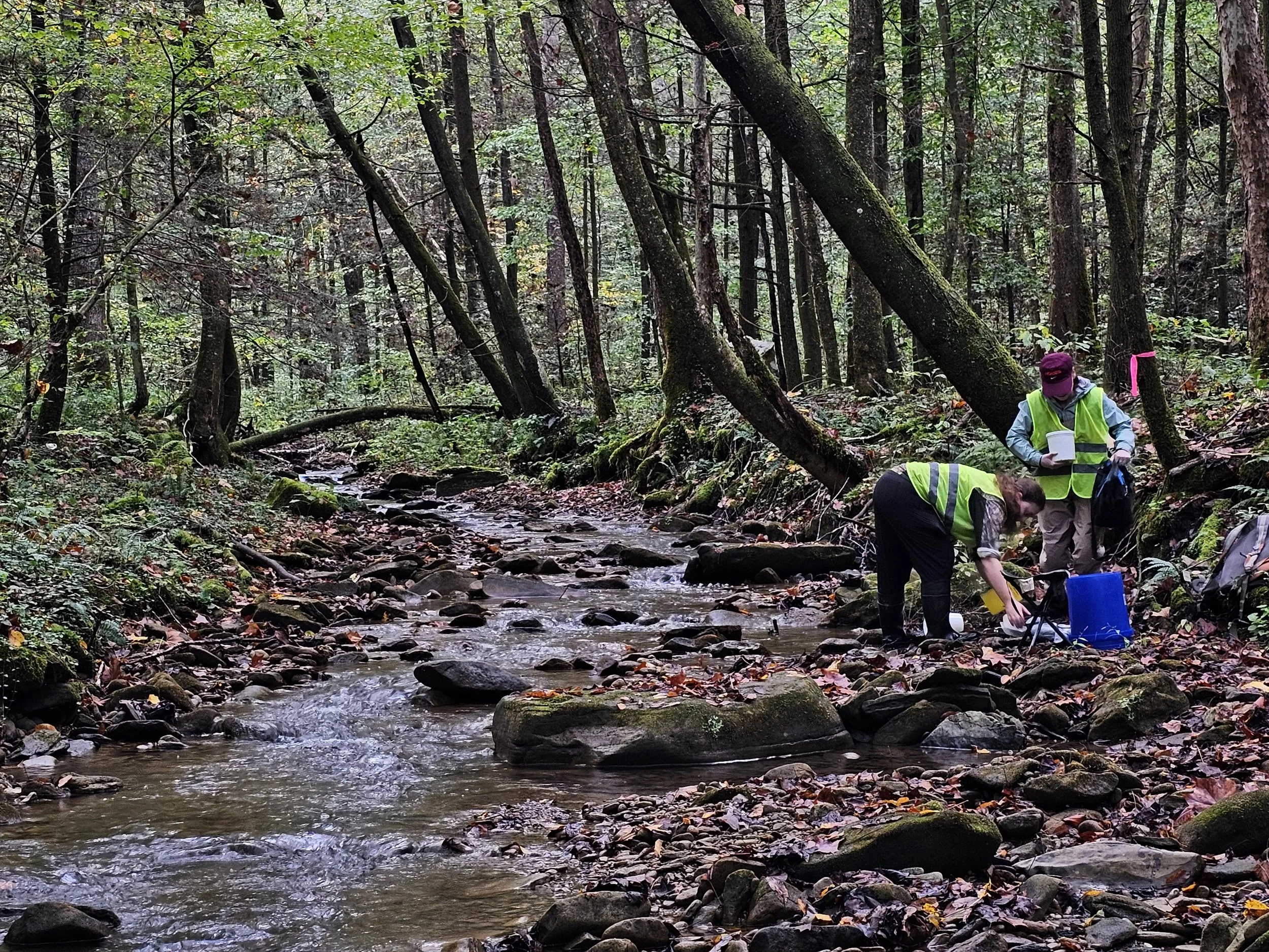 89af1189-35ab-4570-9d76-2c9db1365842 2.JPG