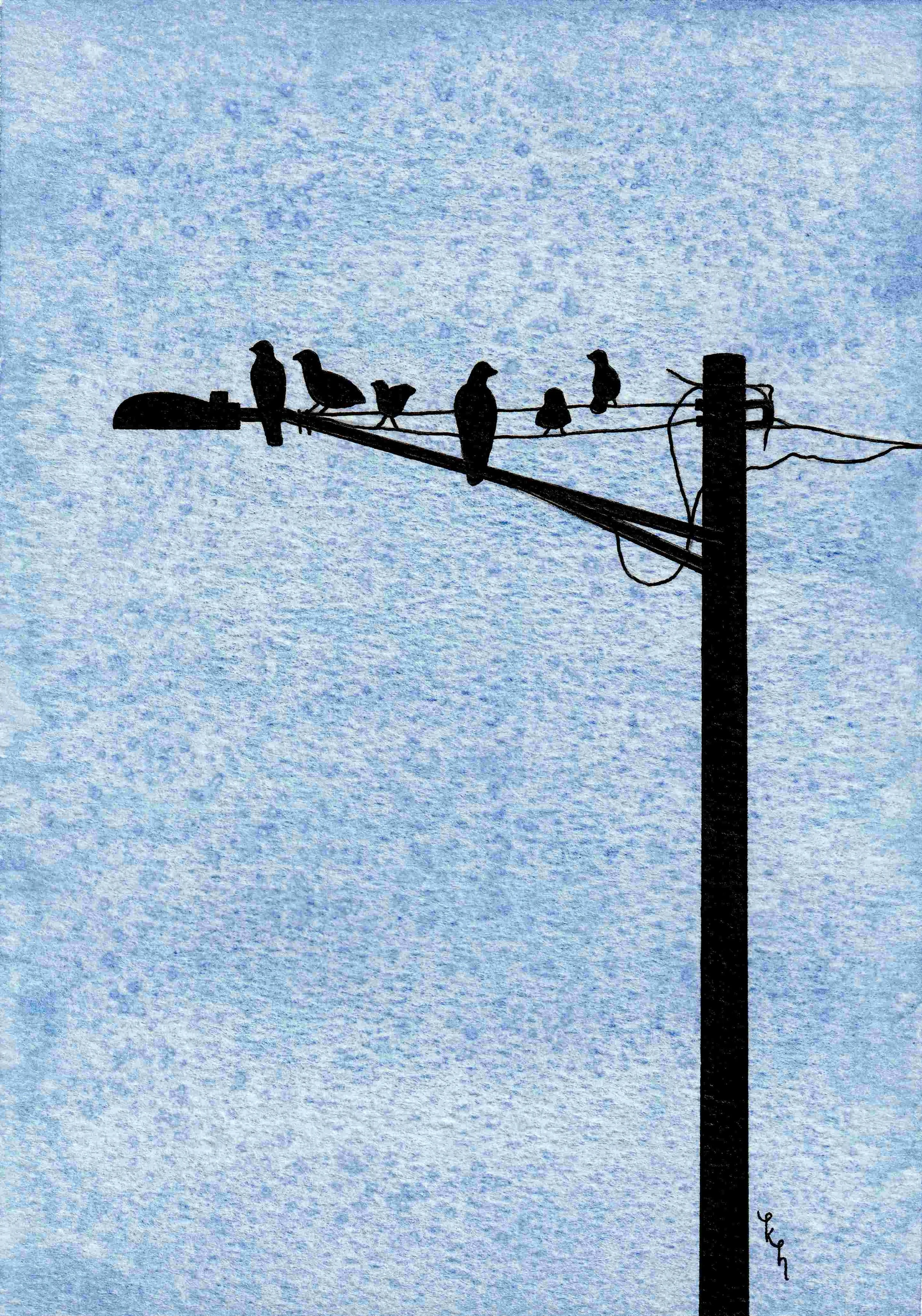 Locals 2025 thumbnail.jpg