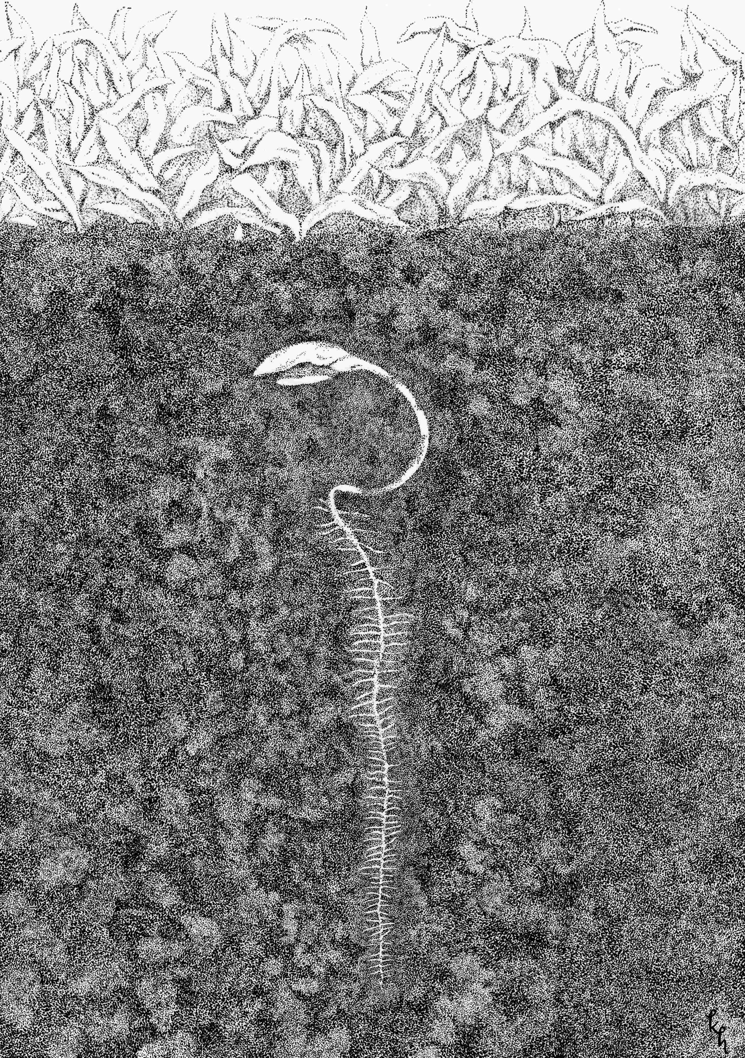 Slow, Quiet, and Dark 2025 thumbnail.jpg