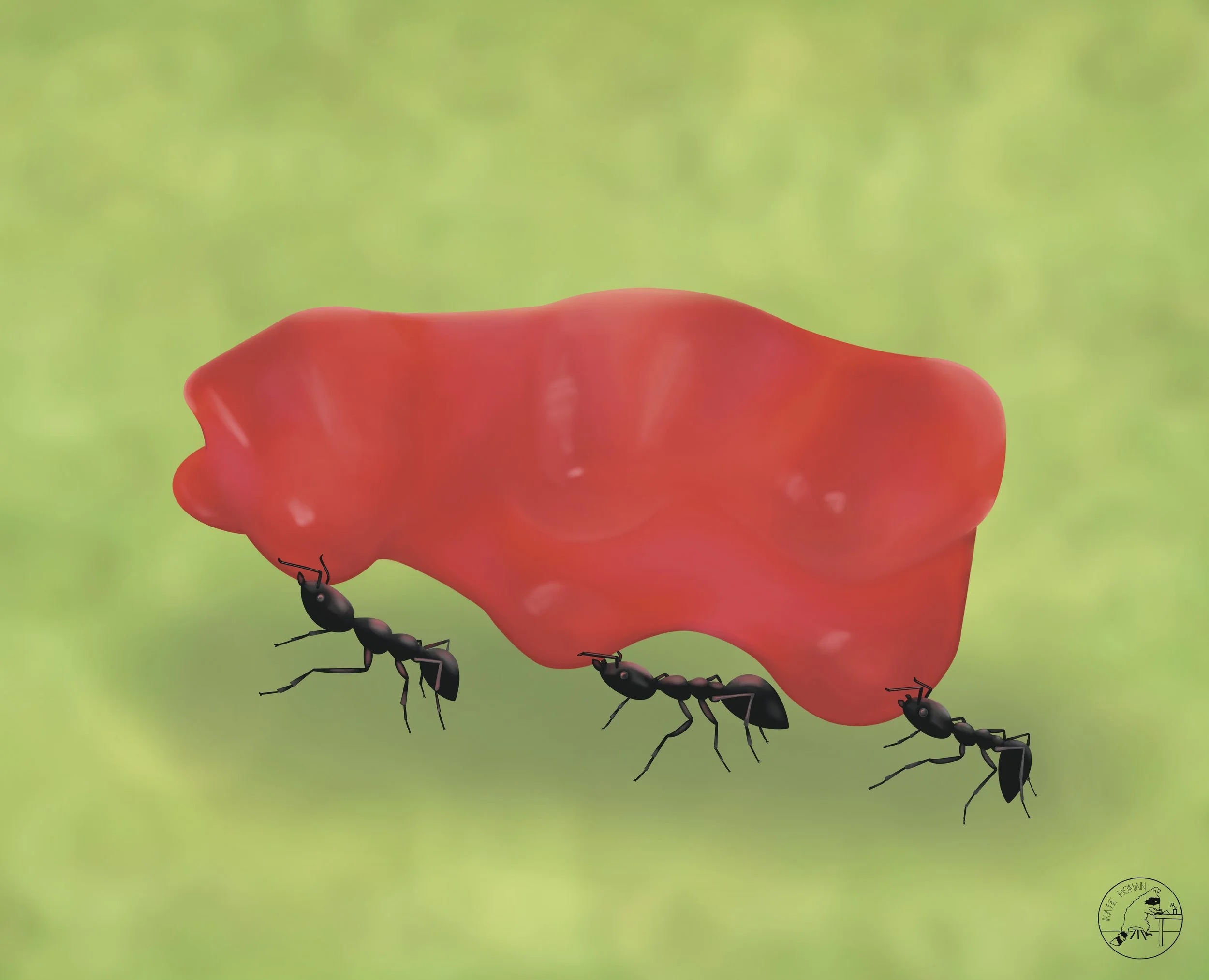 Grocery Run 2023.jpg