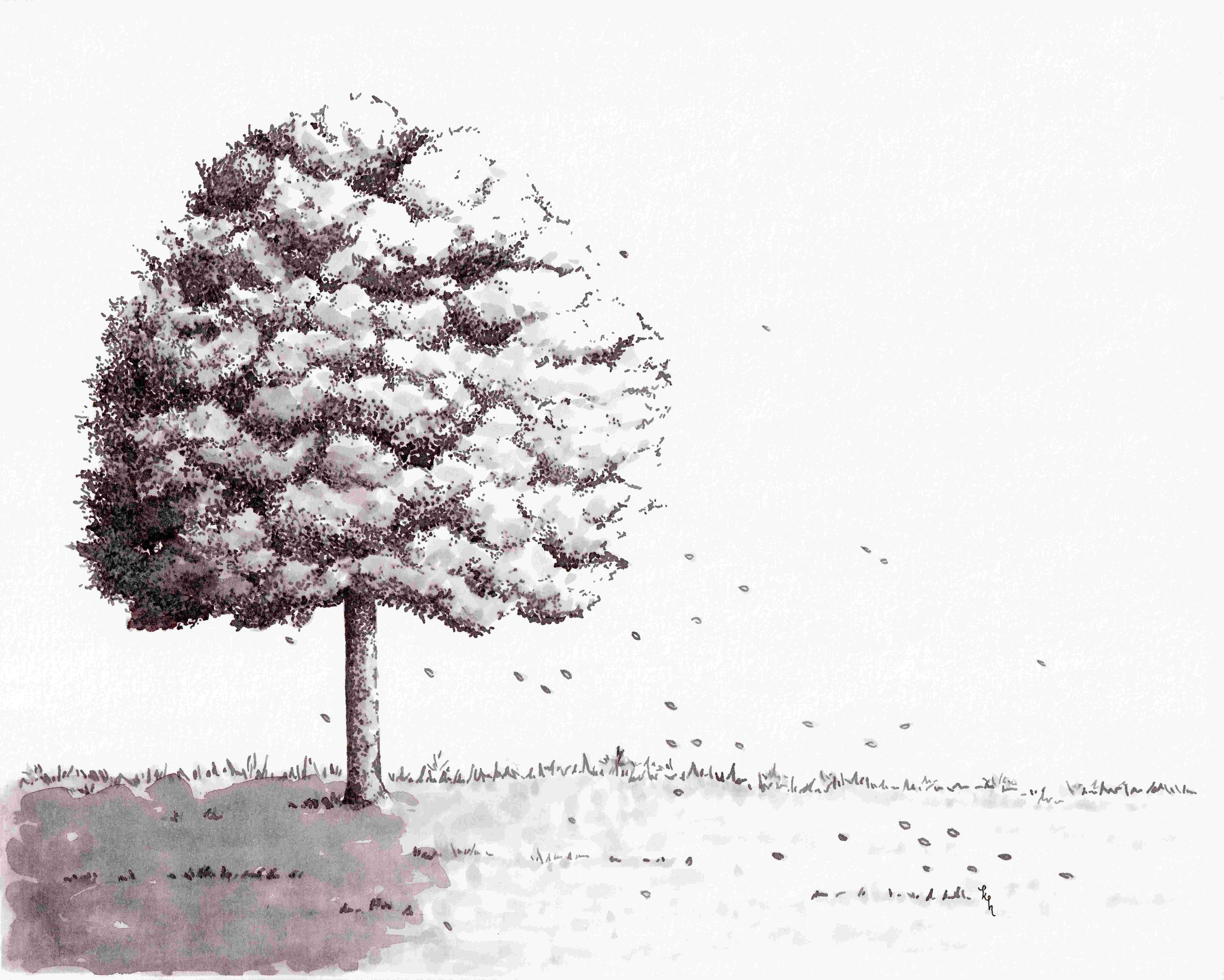 Pride Before a Fall 2024 thumbnail.jpg