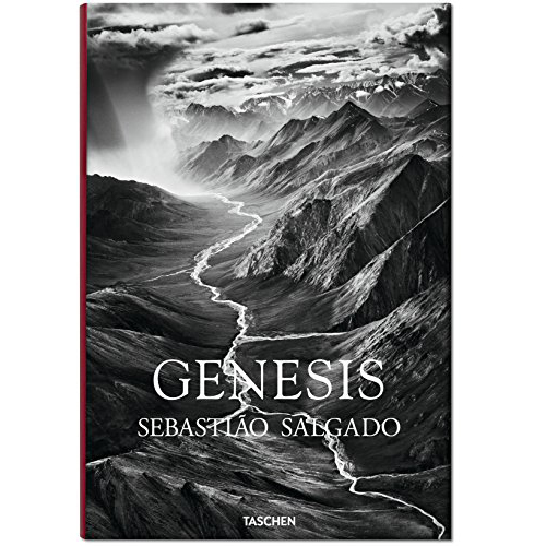 genesis.jpg