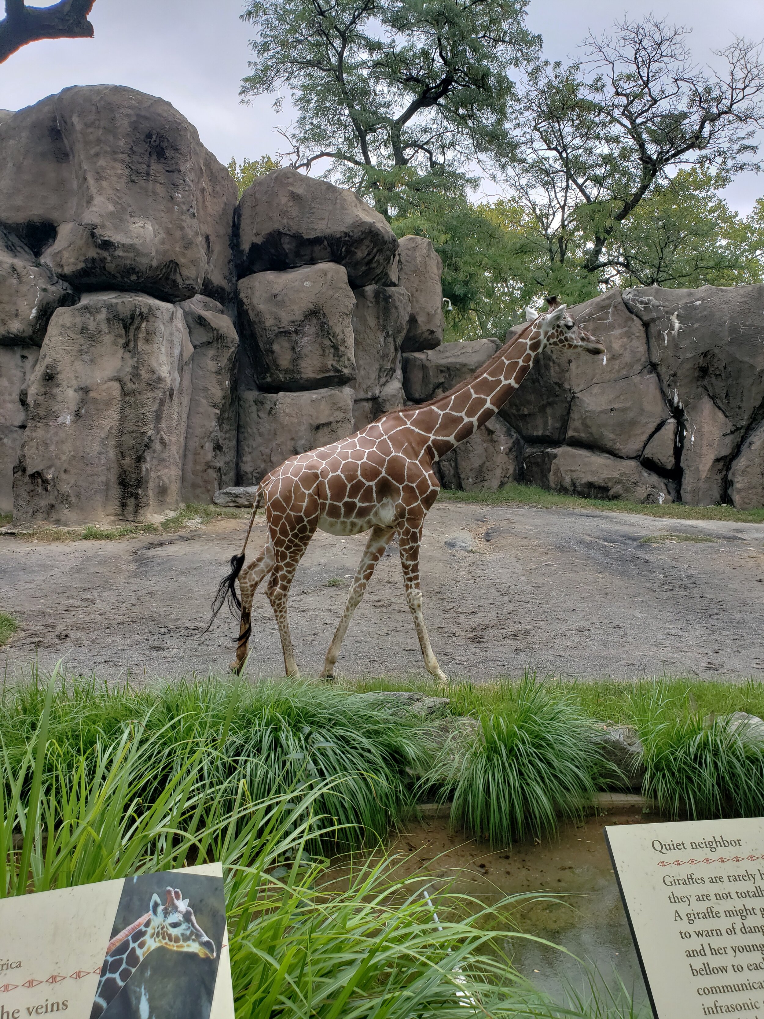 Philadelphia Zoo