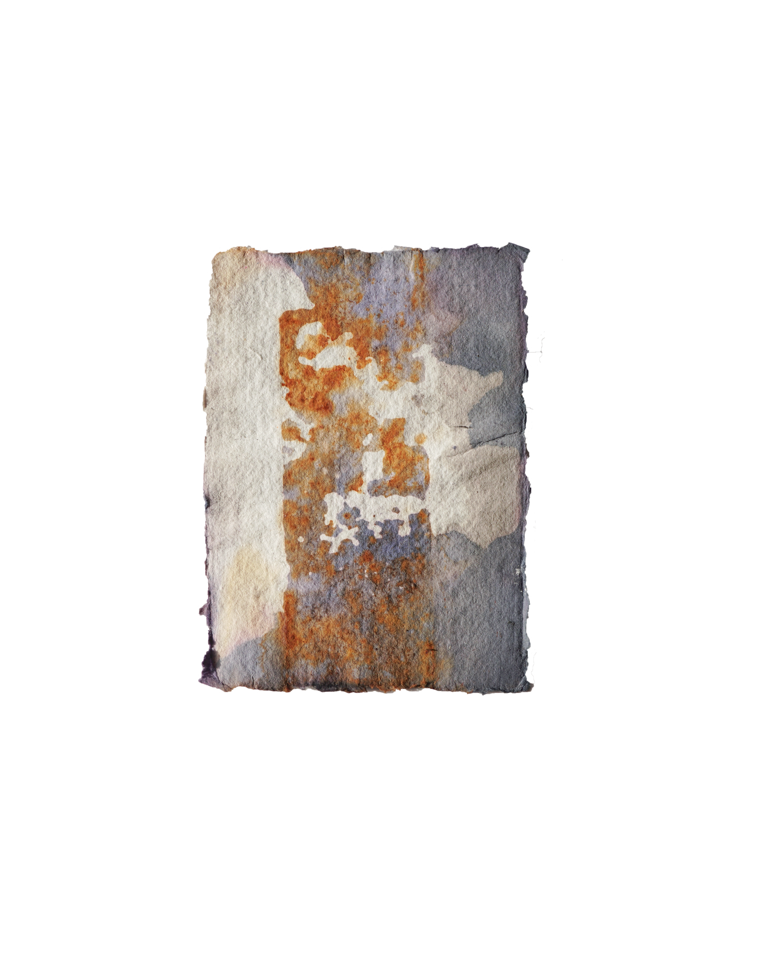 DSC00169x.png