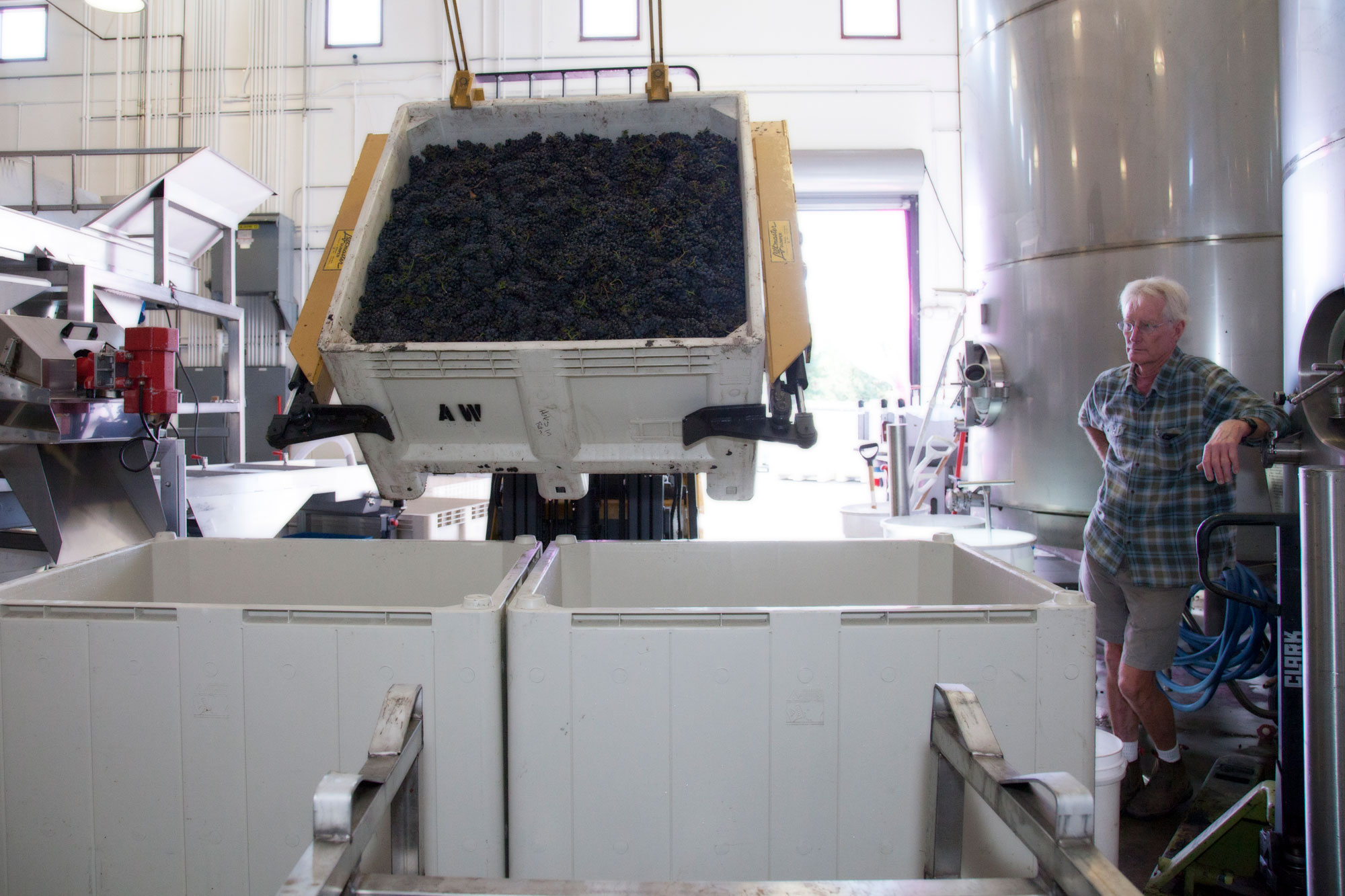 Wine production equipment