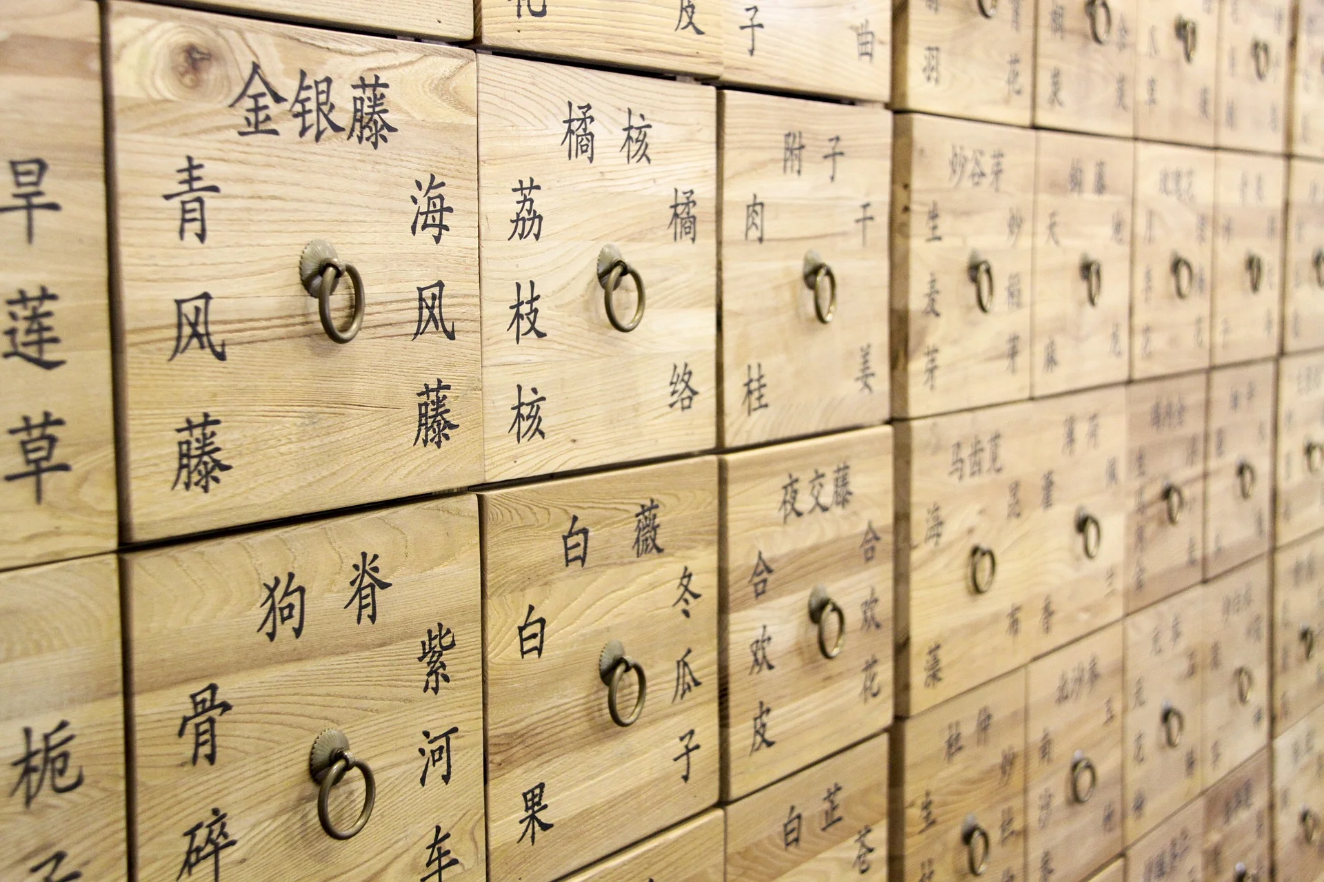 chinese-medicine-3528232_1920.jpg