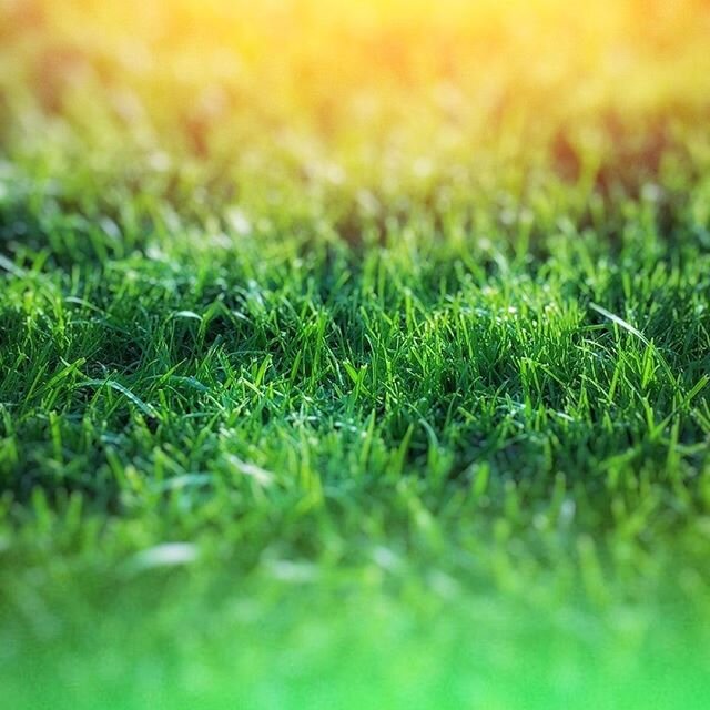🌱 Spring lawn care pro tips: fertilize just a bit at the beginning of the spring season and then more as the grass really starts growing. 🌱 ⠀
⠀
We&rsquo;re happy to take care of all your spring clean up and yard work so give us a call! (781) 738-07