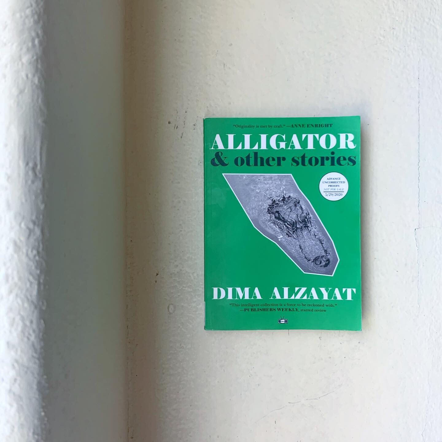 Alligator &amp; Other Stories // Dima Alzayat
⠀⠀⠀⠀⠀⠀⠀⠀⠀
Wow! This book - is it too soon to re-read? I don&rsquo;t think I&rsquo;ve felt so many different emotions after reading a collection of stories since I read Friday Black by Nana Kwame Aadjei-br