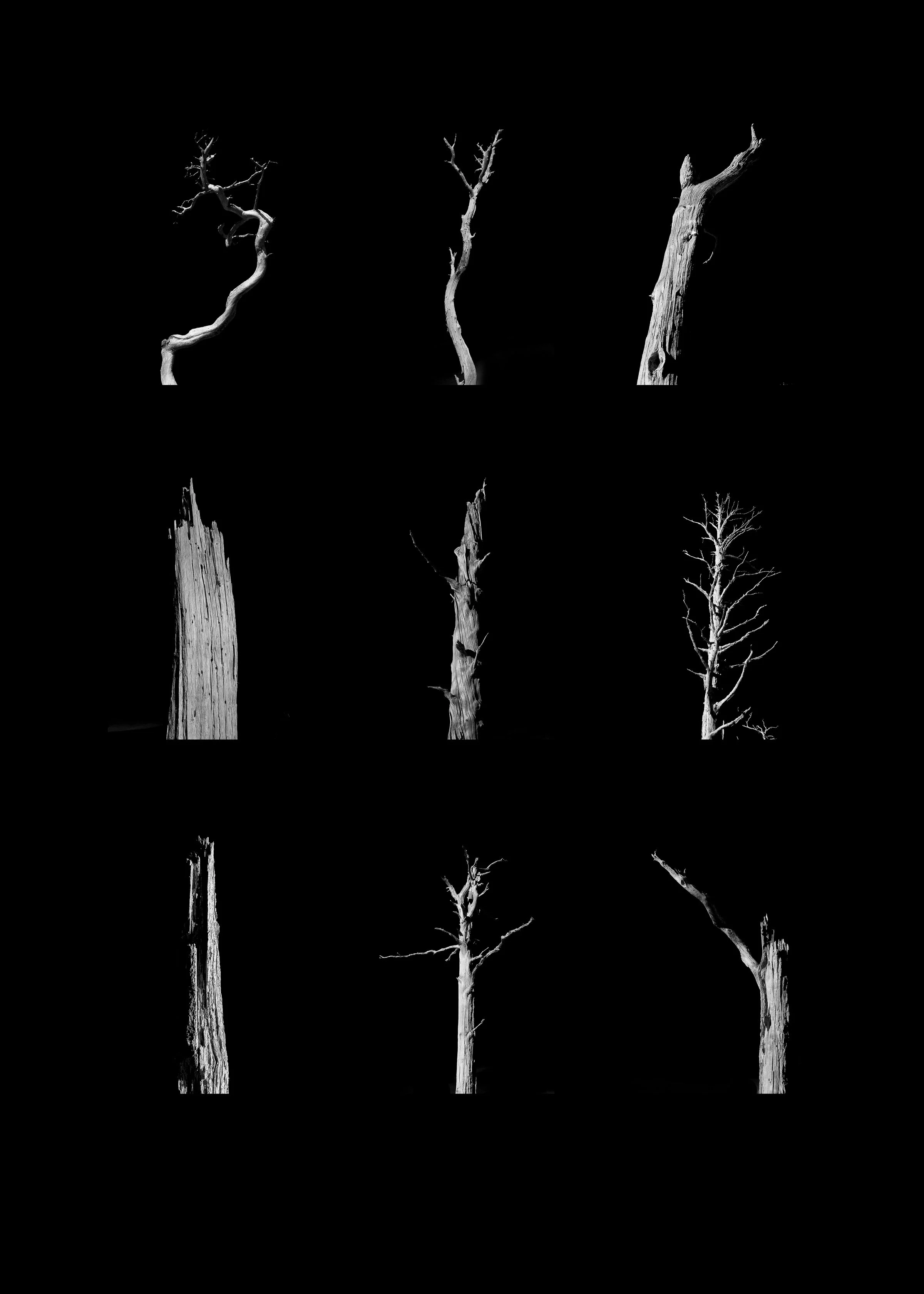 18_GlenmallieGrid9_blk.jpg