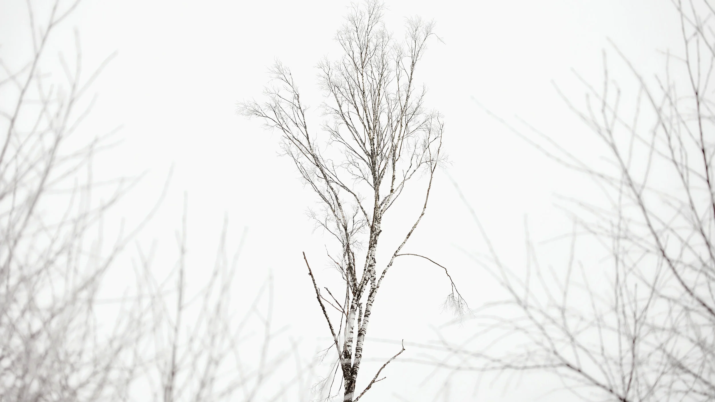 Photo Essay: Backyard Adventure