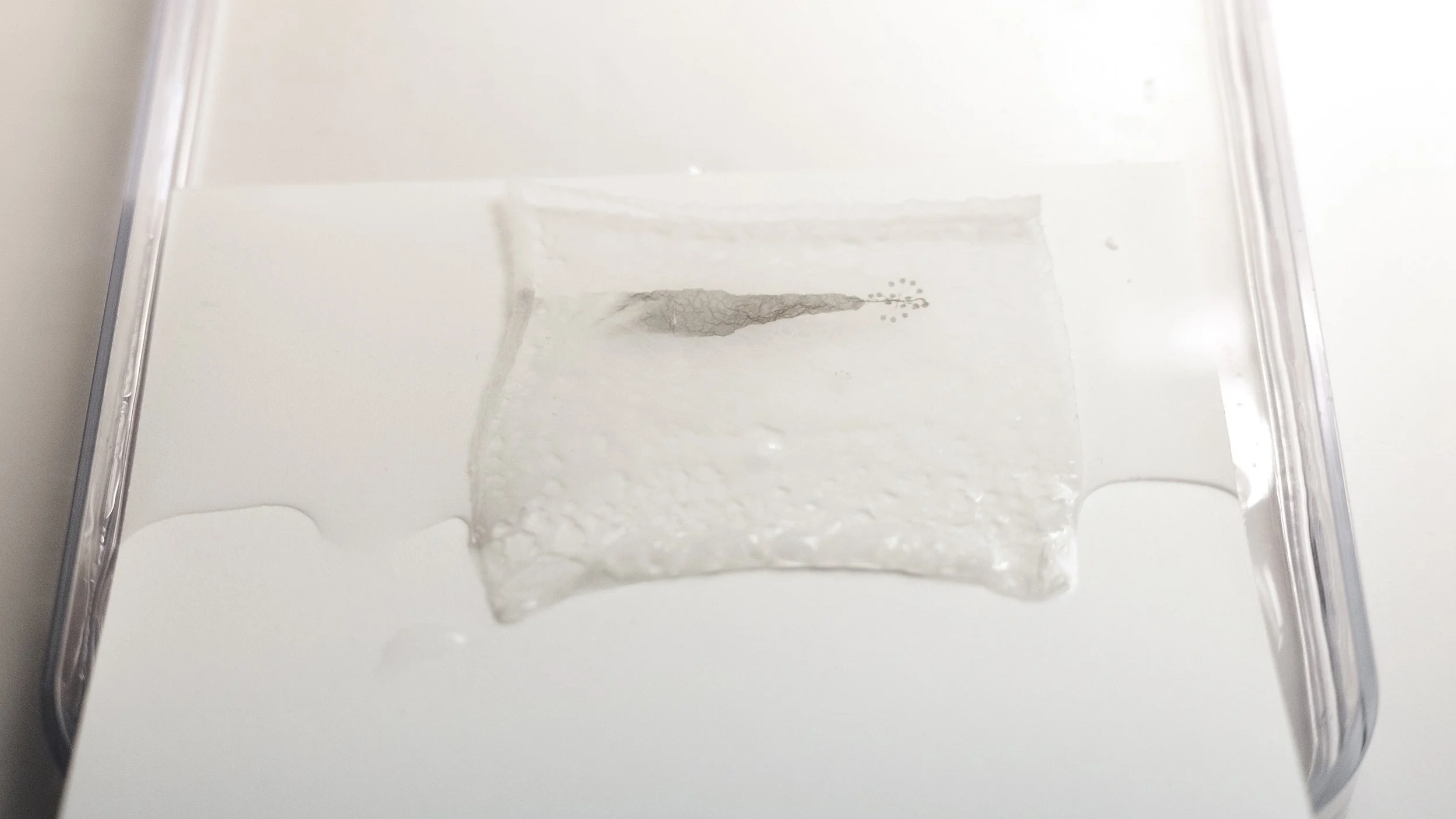 Placing the Emulsion