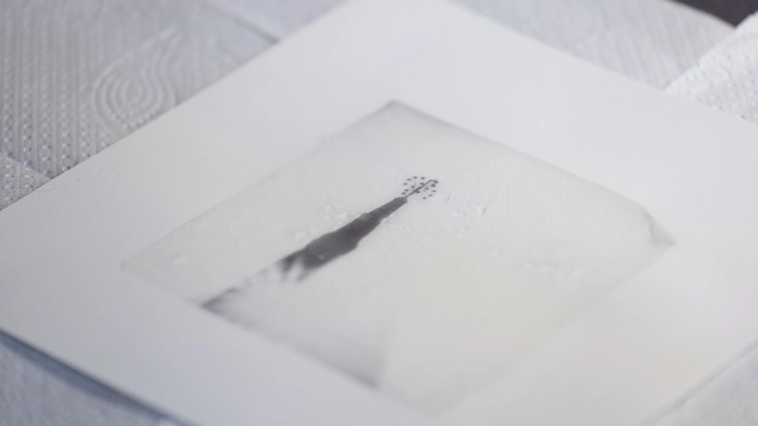 The Process Behind Fjords and Fragments