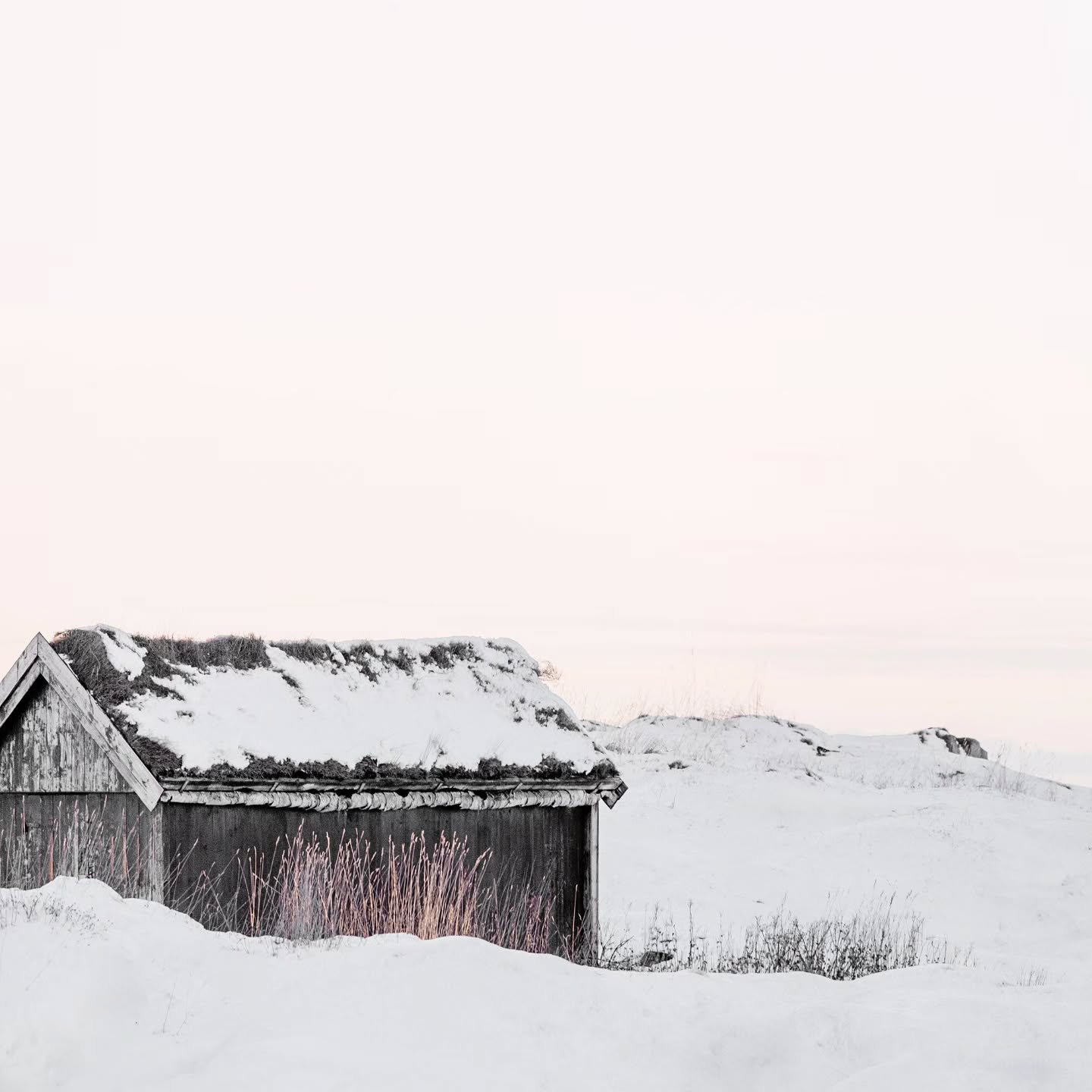 The historic stall at @nordlandsmuseet buried in Arctic snow. Even the simplest shelter must endure a winter that tries to hide everything it covers.

From the Arctic Homes and Shelters project 

#contemporaryphotograpy #nordicart #winter #house #sno