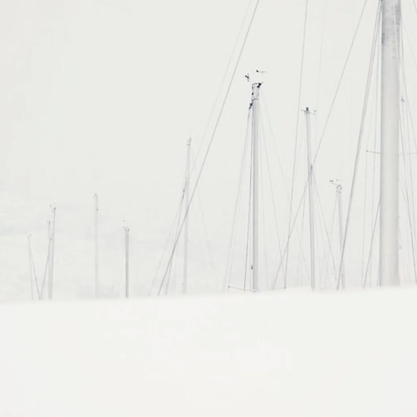 The snow reduced the harbour to the forest of sailboat masts. 

#contemporaryphotograpy #nordicart #arctic #winter #snow