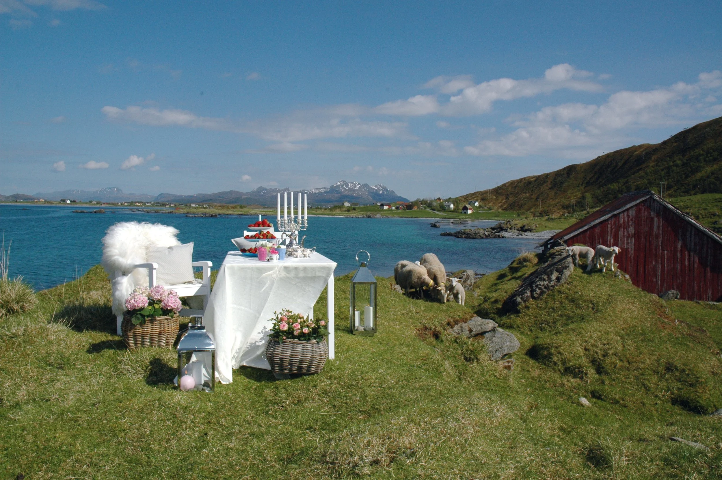 Winemakers dinner kl. 19:00 - 23:00, Fangst Hattvika