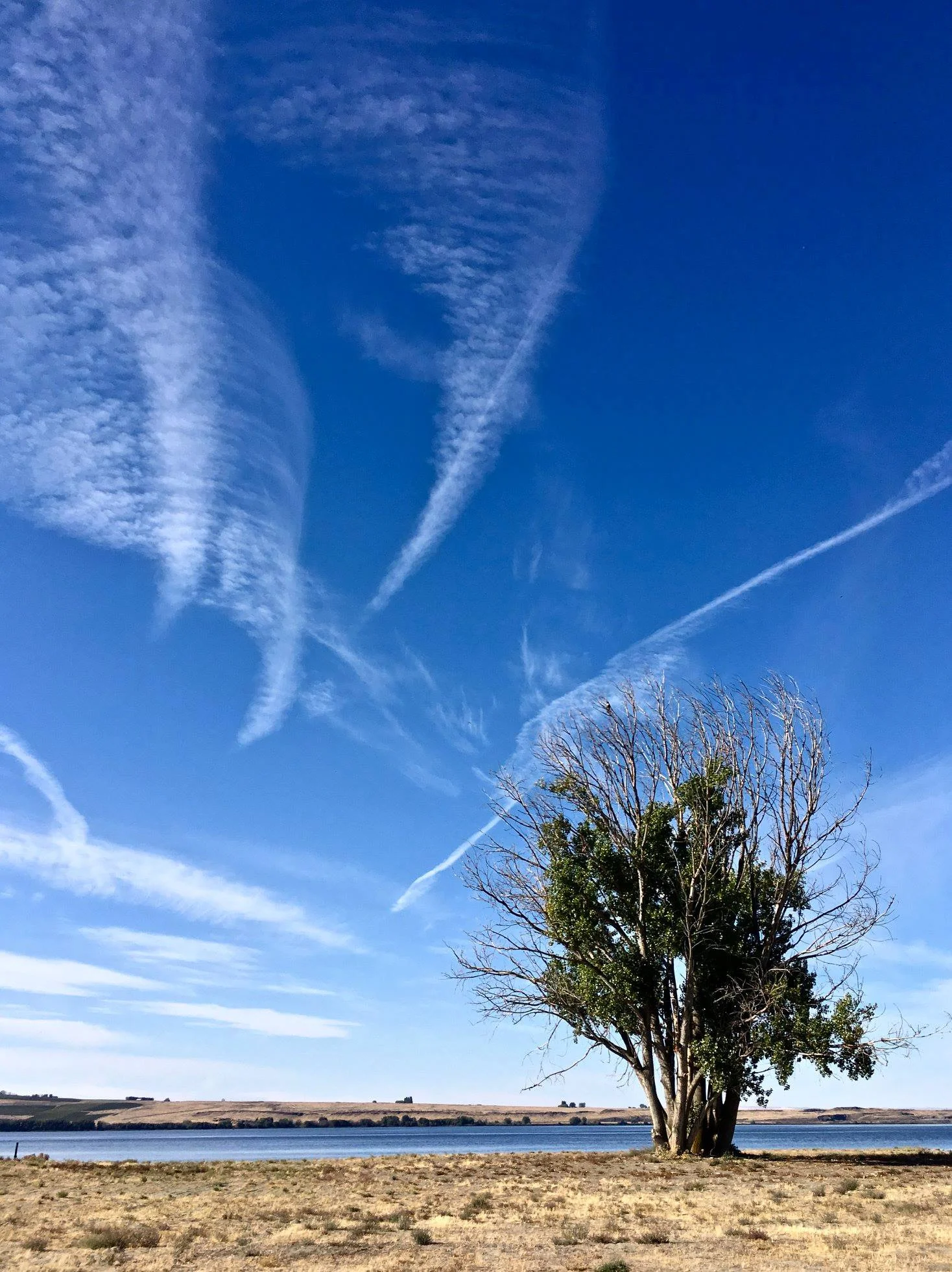 SkyTrails.jpg